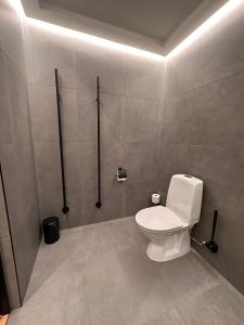 a bathroom with a white toilet in a room at Big River Camp Hotel & Spa in Föllinge