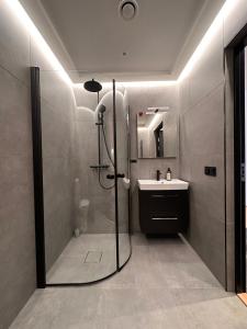 a bathroom with a shower and a sink at Big River Camp Hotel & Spa in Föllinge