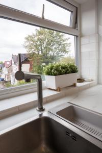 a kitchen sink and a window with a potted plant at Stylish and Cosy 1 BDR Apt, Ealing Broadway in London