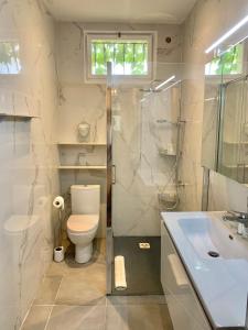 een badkamer met een toilet, een wastafel en een douche bij Domaine du cheval d’argent 
