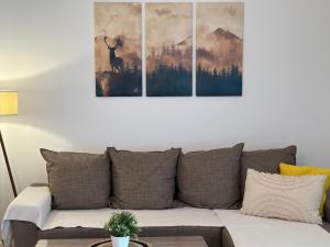 a living room with a couch with three paintings on the wall at Nirvana Lux Apartman Zlatar in Brdo