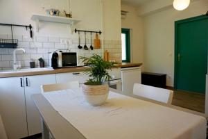 eine Küche mit einem Tisch und einer Topfpflanze darauf in der Unterkunft Tündér Róza Apartman in Miskolctapolca