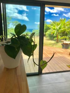 Taman di luar Le Bleu Horizon - T2 - Jacuzzi - Vue mer
