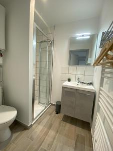 La salle de bains est pourvue de toilettes, d'un lavabo et d'une douche. dans l'établissement Le Viotte - Unique ! 3 logements disponibles, à Besançon