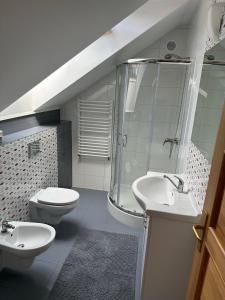 a bathroom with a shower and a toilet and a sink at Apartament D&D in Gorlice