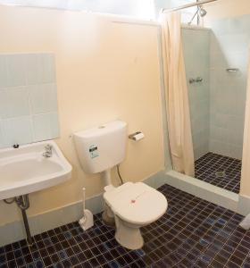 a bathroom with a toilet and a sink and a shower at The Swiss Motel in Cooma