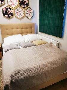 un letto con 2 cuscini e una tavola verde sul muro di Apartment Paula a Świnoujście