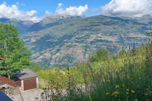 a view of a mountain with a house and flowers at Paradiski bel appartement rénové plan peisey in Peisey-Nancroix