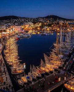 a group of boats docked in a marina at night at emplacement idéal, vue mer, parking offert in Sanary-sur-Mer