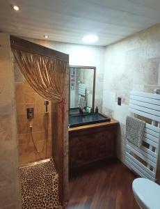 uma casa de banho com um lavatório e um chuveiro com um espelho. em Chambres Maison Labourdasse em Saint-Martin-de-Hinx