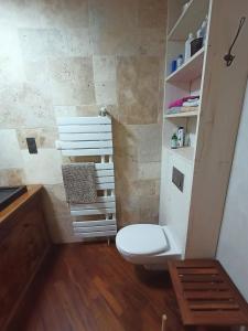 uma casa de banho com um WC branco num quarto em Chambres Maison Labourdasse em Saint-Martin-de-Hinx