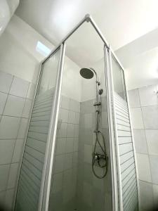 La salle de bains est pourvue d'une douche avec une porte en verre. dans l'établissement Apt T1,bien situé Anse Mitan Trois Ilets, à Les Trois-Îlets