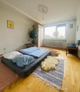Cama grande en habitación con alfombra en Helle, grosse, zentrale Wohnung mit Balkon en Múnich