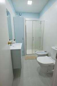 y baño con aseo, lavabo y ducha. en Apartamento America, en Sanlúcar de Barrameda