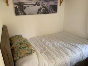 een bed in een slaapkamer met een foto aan de muur bij Paradiski ski au pied vallandry in Landry