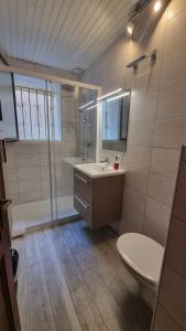 une salle de bain avec un lavabo, une douche et des toilettes dans l'établissement Appartement calme centre ville à 80m des Halles, à Narbonne 7 autres photos