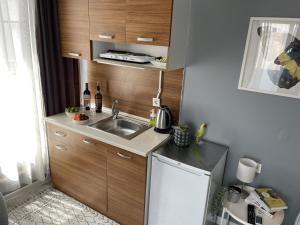 Kuchyň nebo kuchyňský kout v ubytování Flats Company - Karakoy Apartment
