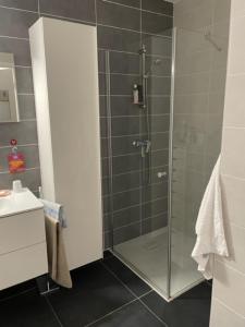 een badkamer met een douche en een glazen deur bij Metz Appartement F3 de 74 m2 in Metz