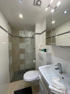 een badkamer met een douche, een toilet en een wastafel bij 4 bedrooms and 2 bathrooms plus kitchen and terrace- 10 min to fairground in Düsseldorf