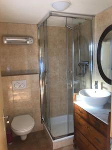 a bathroom with a shower and a toilet and a sink at Chalet avec vue imprenable et au calme in Chalais