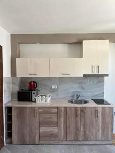 a kitchen with a sink and a microwave at Vila Simfonija with Free parking in Vrnjačka Banja +25 photos