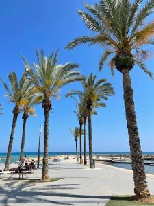 una fila de palmeras en una acera cerca de la playa en Playa del Cura apartment with a free parking place, en Torrevieja