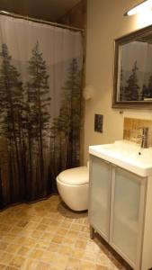 a bathroom with a toilet and a sink and a shower at Klintholm Bed & Breakfast & Bistro in Borre
