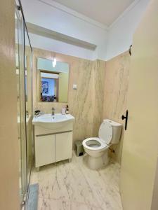 a bathroom with a toilet and a sink and a shower at APART Casas Brancas in Vila Viçosa