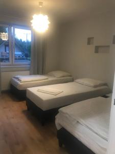 three beds in a room with a window and a chandelier at Pokoje gościnne na Miłej in Kochlice