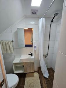 a bathroom with a sink and a toilet and a shower at Guest House Club Hípico in Santiago
