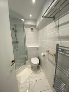 uma casa de banho com um WC e uma cabina de duche em vidro. em Lovely HotelStyle Apartment - Central London em Londres