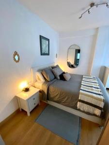 - une chambre avec un grand lit et un miroir dans l'établissement Apartamentos Oviedo centro apartastur26, à Oviedo