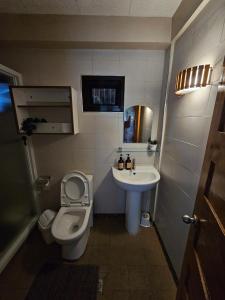 Baño pequeño con aseo y lavamanos en Mirador Modern House - Walking distance to Lourdes Grotto, en Baguio