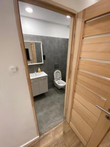 ブダペストにあるBenjamin Apartmanのバスルーム(トイレ、洗面台付)