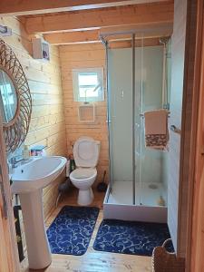 a bathroom with a toilet and a sink and a shower at Chalet d'une chambre avec terrasse amenagee et wifi a L'Etang Sale in Étang-Salé