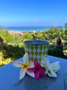 聖阿加塔迪米利泰洛的住宿－西西里花園酒店，一张蓝白的杯子和桌子上的鲜花