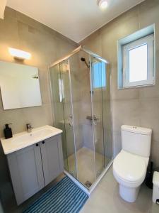 a bathroom with a shower and a toilet and a sink at Olive tree cottage in Elia Laconias +15 photos