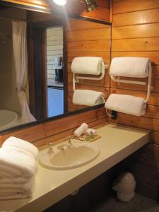 Fotografie z fotogalerie ubytování Alpine Lodge Motel v destinaci Hanmer Springs