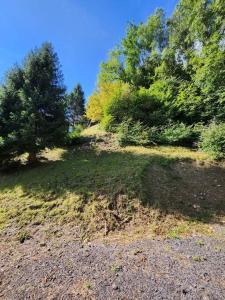 une colline herbeuse avec des arbres sur son côté dans l'établissement Les nids chalet 4.5, à La Lechere