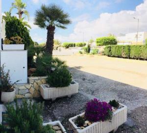 a parking lot with some plants in white containers at Mojácar Vibes 1 Línea de Playa in Mojácar