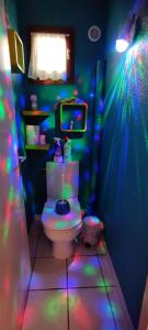 - une salle de bains avec toilettes dans une chambre éclairée dans l'établissement Guest House Yemanja, à Narbonne