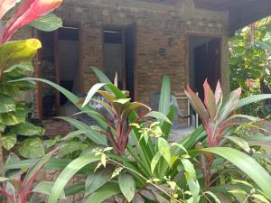 un bâtiment en briques avec une porte avec des plantes devant dans l'établissement Thousand hills ketambe, à Lhokuenam