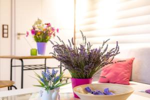 Fotografie z fotogalerie ubytování Lawendowy Zakątek Machowino- Domek Blue Scent v destinaci Ustka