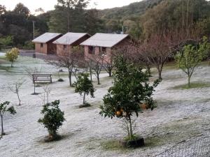 um grupo de árvores em frente a um edifício em Encosta Dos Pinheiros em Gramado