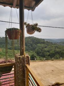 - une vue depuis la terrasse couverte ornée de plantes en pot dans l'établissement Handmade Store Măng Đen, à Kon Von Kla
