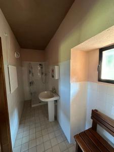 y baño con lavabo y ducha. en Rifugio Casa di Caccia en Noasca