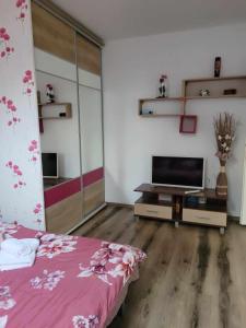 Habitación con cama y TV. en Casa Eni, en Cluj-Napoca