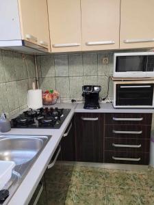 a kitchen with a stove and a sink and a microwave at Casa Eni in Cluj-Napoca