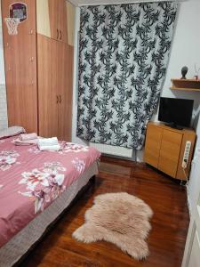 a bedroom with a bed and a rug and a tv at Casa Eni in Cluj-Napoca