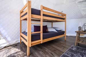 a bunk bed in a room with a ladder at Alpenlodges in Braunwald
